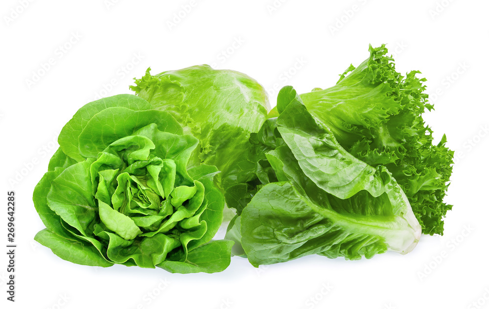 fresh baby cos, frillice, iceberg and butter lettuce isolated on white background fresh baby cos, frillice, iceberg and butter lettuce isolated on white background