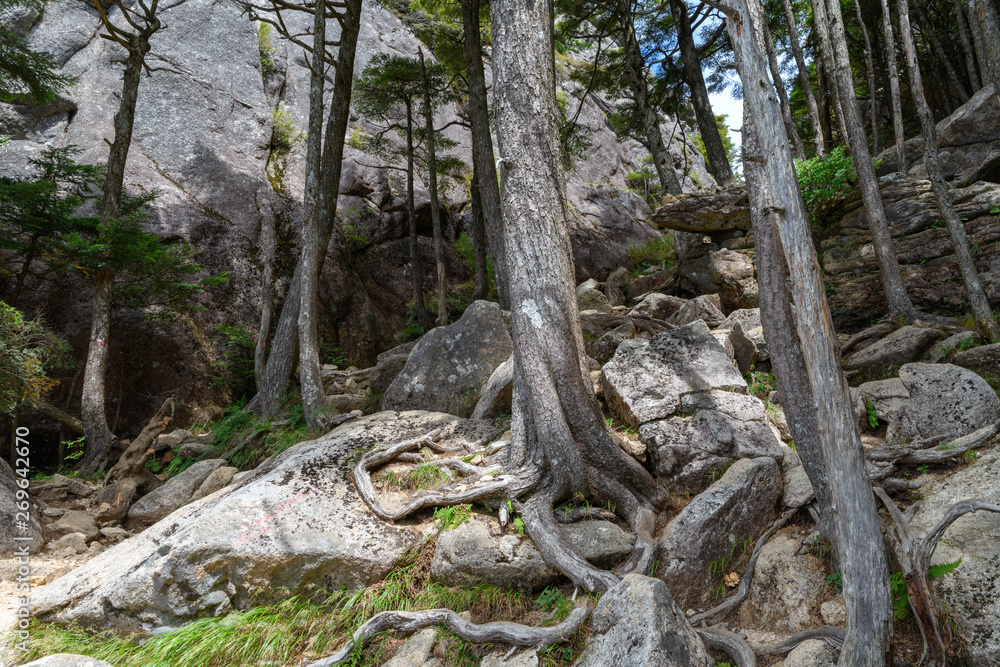瑞牆山の登山道
