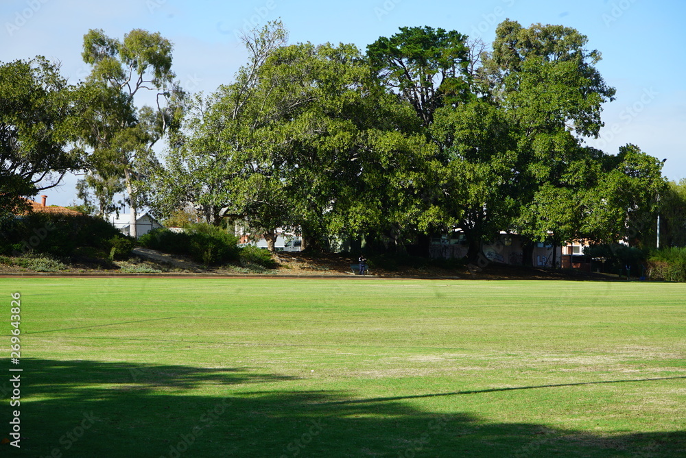 an empty green park with a soccer field an empty green park with a soccer field