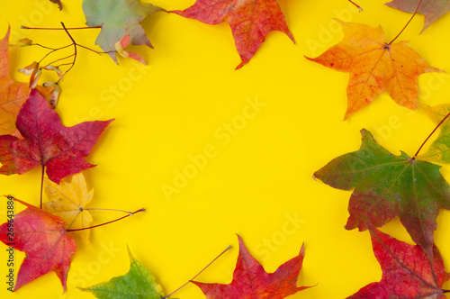 Frame of autumn colored maple leaves on a yellow background