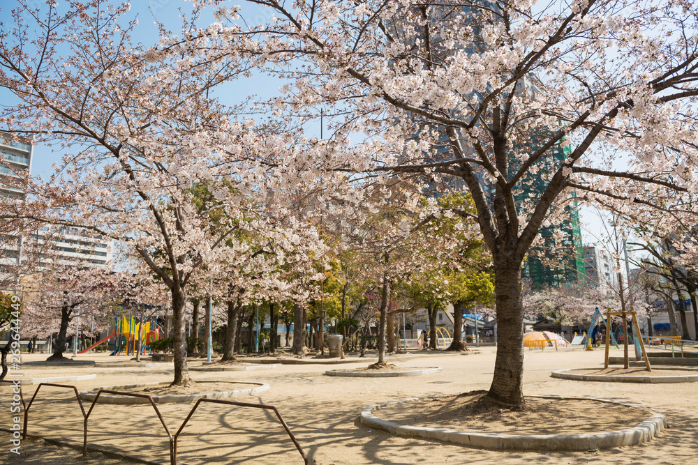 銅座公園 銅座公園