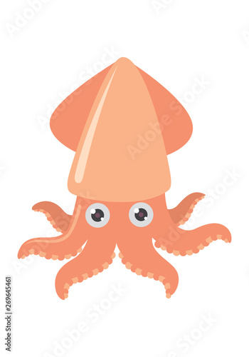 cartoon squid on white background, vector