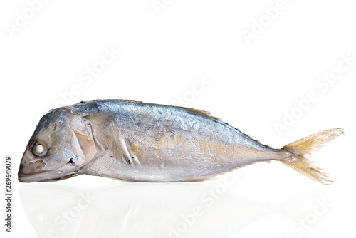 Thai mackerel fish steamed on white background
