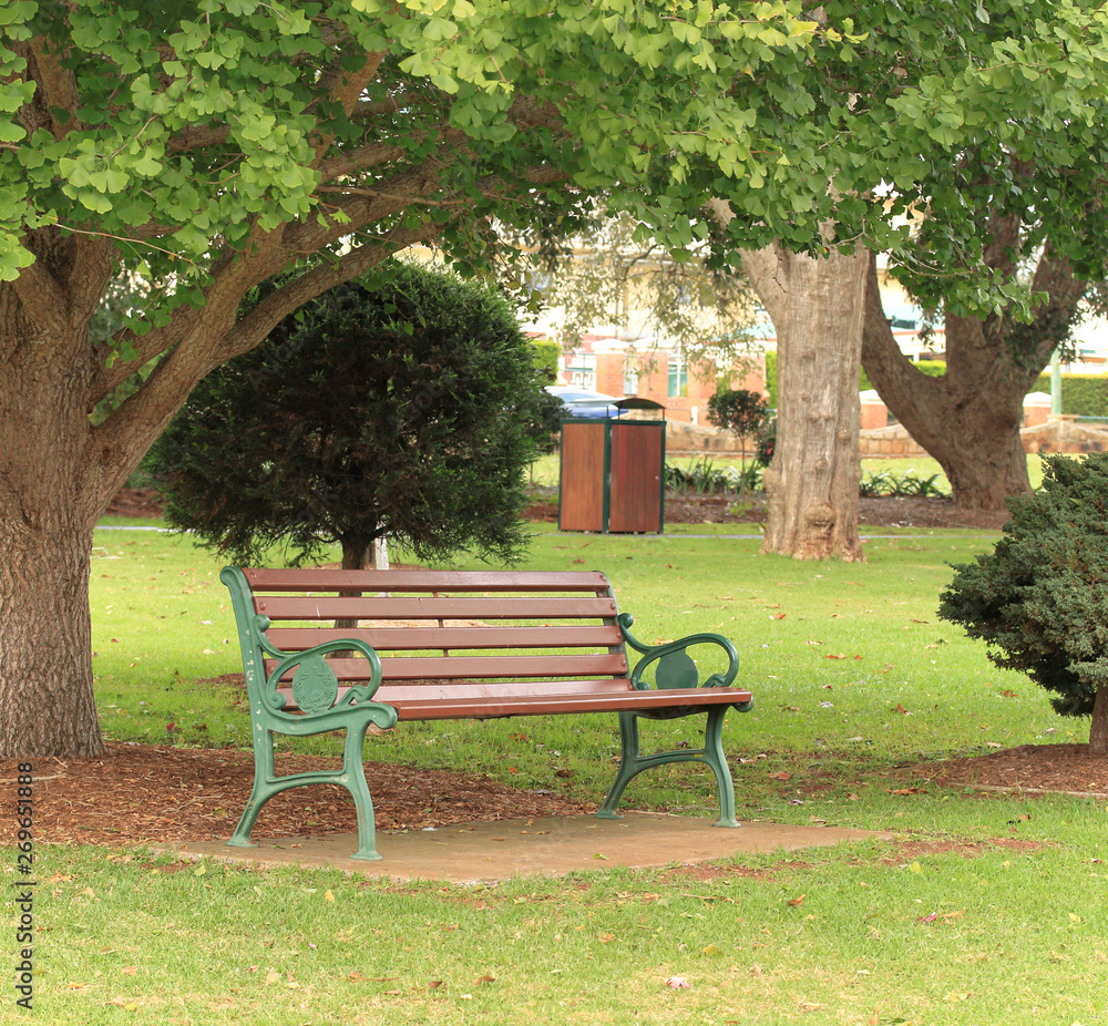 Park bench under tree, Green grass and trees