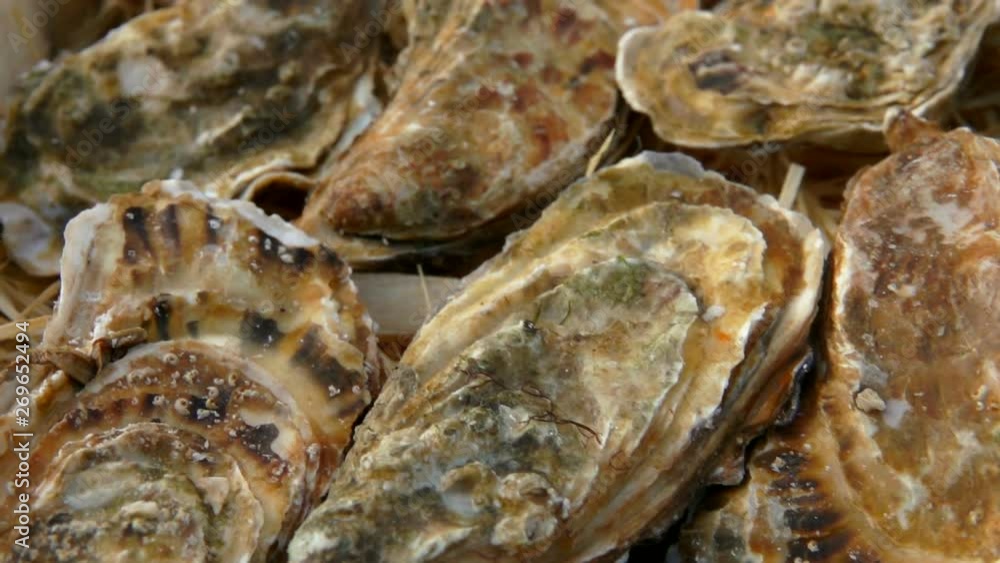 Panoramic camera movement on a box with fresh closed oysters. Panoramic camera movement on a box with fresh closed oysters.