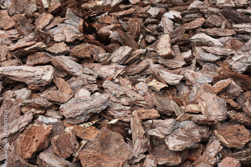 Shredded pine bark for mulching.