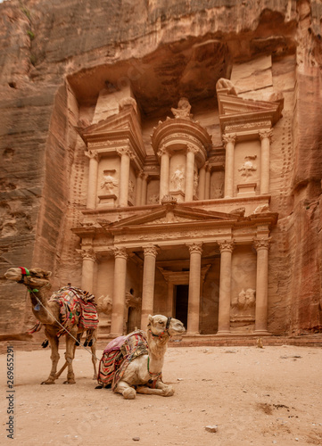 Camels at The Treasury at Petra Ruins in Jordan