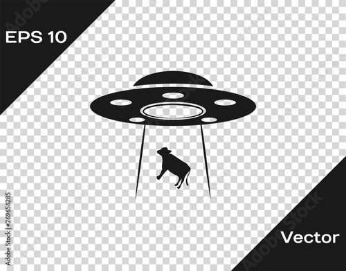 Grey UFO abducts cow icon isolated on transparent background. Flying saucer. Alien space ship. Futuristic unknown flying object. Vector Illustration