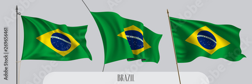 Set of Brazil waving flag on isolated background vector illustration