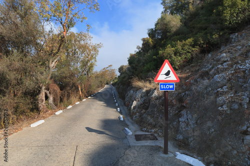 Road uphill to Gibraltar The Rock summer season