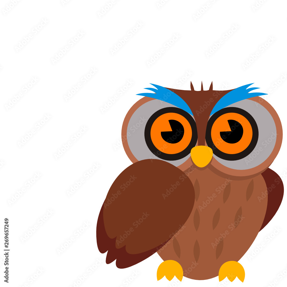 Owl bird clipart