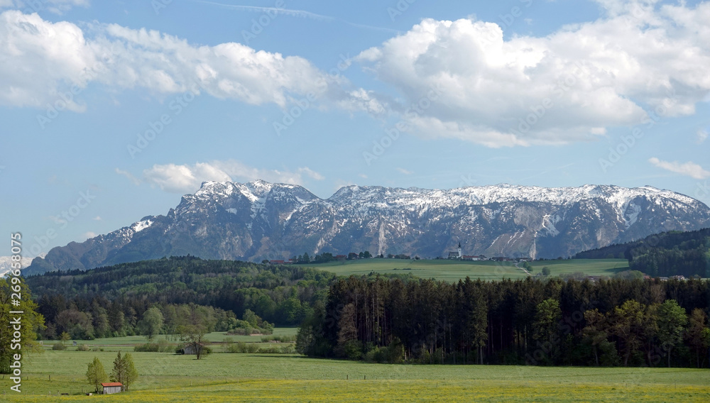 Beautiful panoramic countryside landscape with blossoming alpine meadows with green grass and mountains with snow caps at far away under blue sky with clouds on bright sunny day