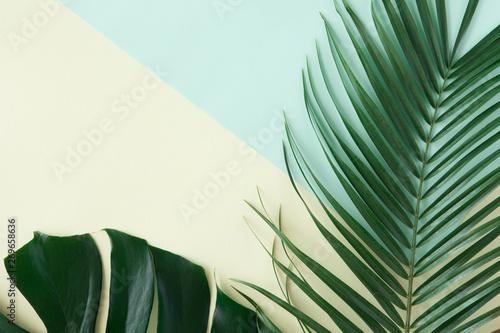 Top view of green tropical leaves on yellow and green background. Flat lay. S...