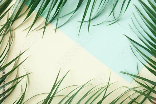 Top view of green tropical leaves on yellow and green background. Flat lay. S...