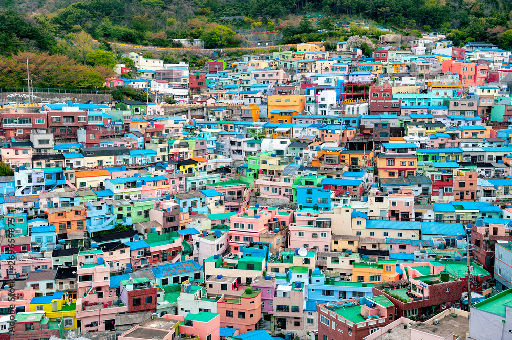 Scenic landscape of Gamcheon Culture Village, colorful and artistic tourist attraction with brightly painted houses on hillside of coastal mountain in Saha District, Busan, South Korea