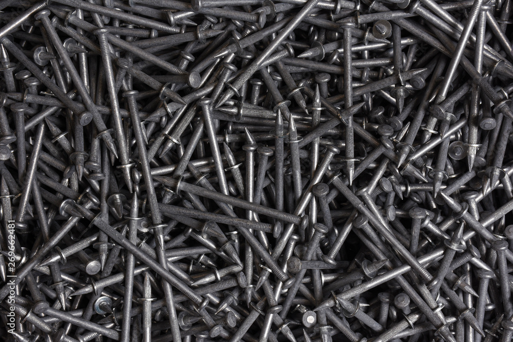 Stainless Wire Nails Stainless Wire Nails