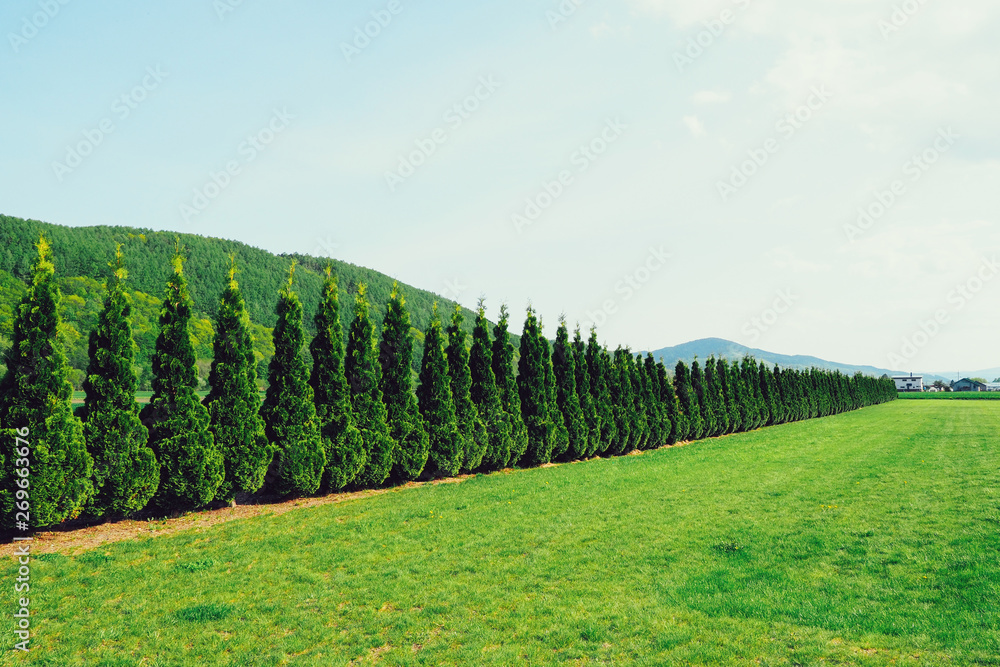 Naklejka premium 北海道の田舎の景色