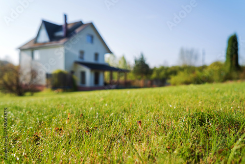 Fototapeta cottage house and young lawn