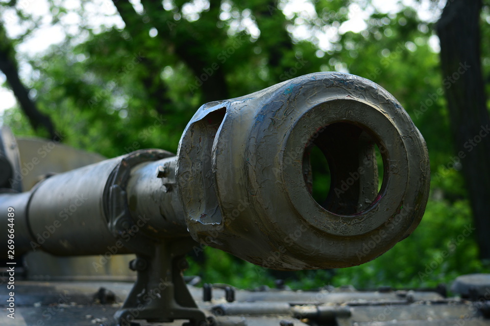 cannon cannon