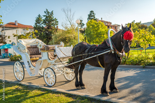Touristic horse wagon and green park in a touristic village. © miladrumeva