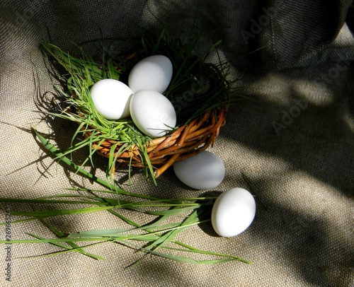 White chicken eggs in basket or nest on burlap background. Grass. County concept
