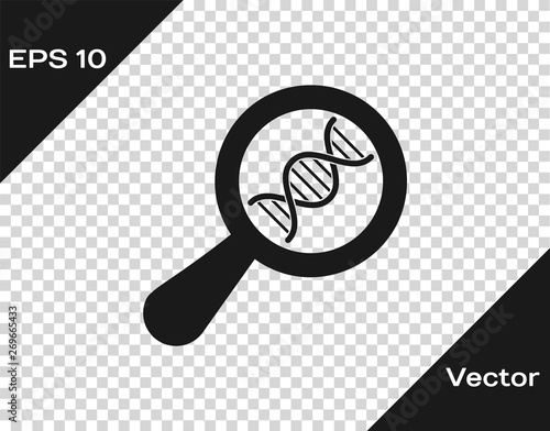 Grey DNA research, search icon isolated on transparent background. Magnifying glass and dna chain. Genetic engineering, cloning, paternity testing. Vector Illustration