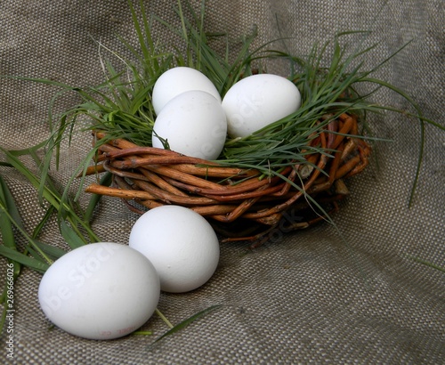 White chicken eggs in basket or nest on burlap background. Grass. County concept