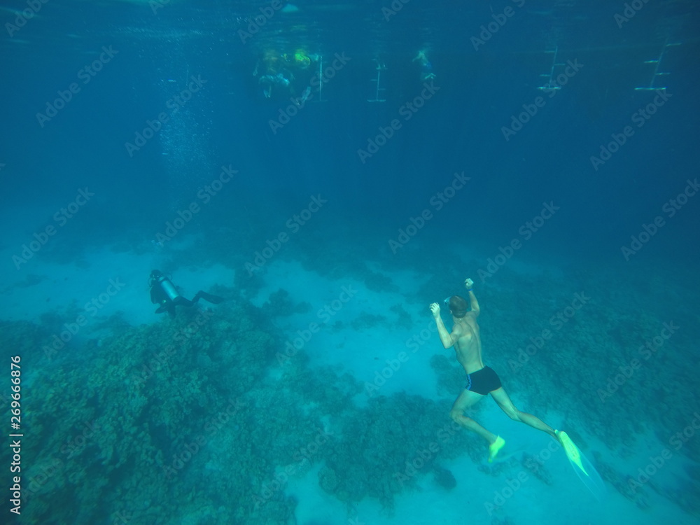 Fototapeta premium red sea diving
