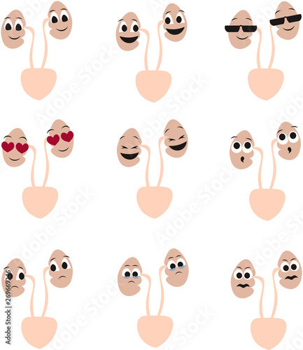 Organs of the human body in the style of cartoon. Kidney, health, disease. Design for medical poster, print, scheme, greeting card, flyer. Medical icons.