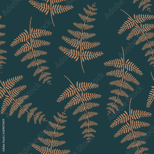 Vector botanical illustration of fern leaf. Isolated outline modern drawing of tropical plant. Set of exotic fern leaves silhouettes. 