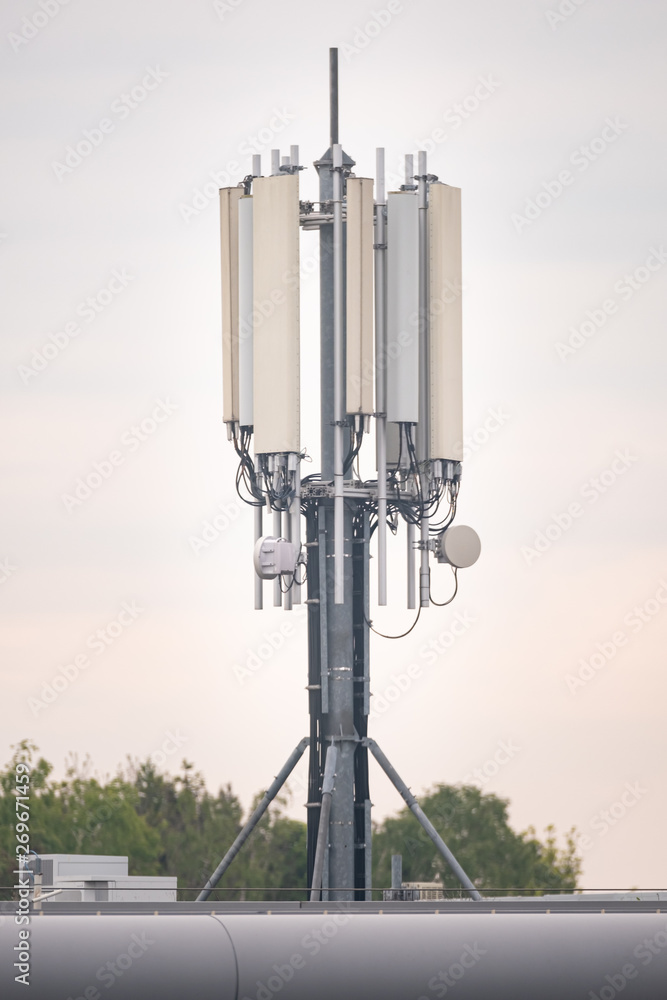 Mobile Phone Antenna -  Portrait