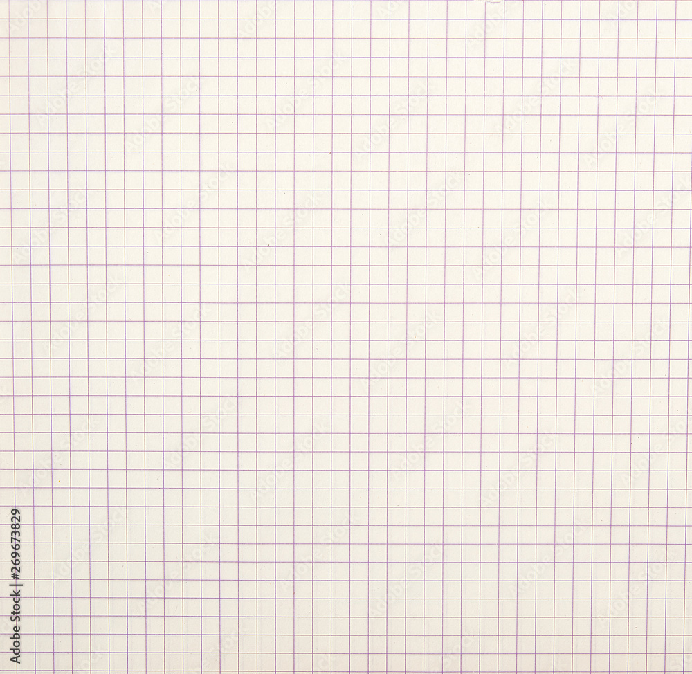 sheet of school notebook in a cell, full frame sheet of school notebook in a cell, full frame