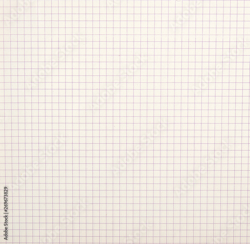 sheet of school notebook in a cell, full frame