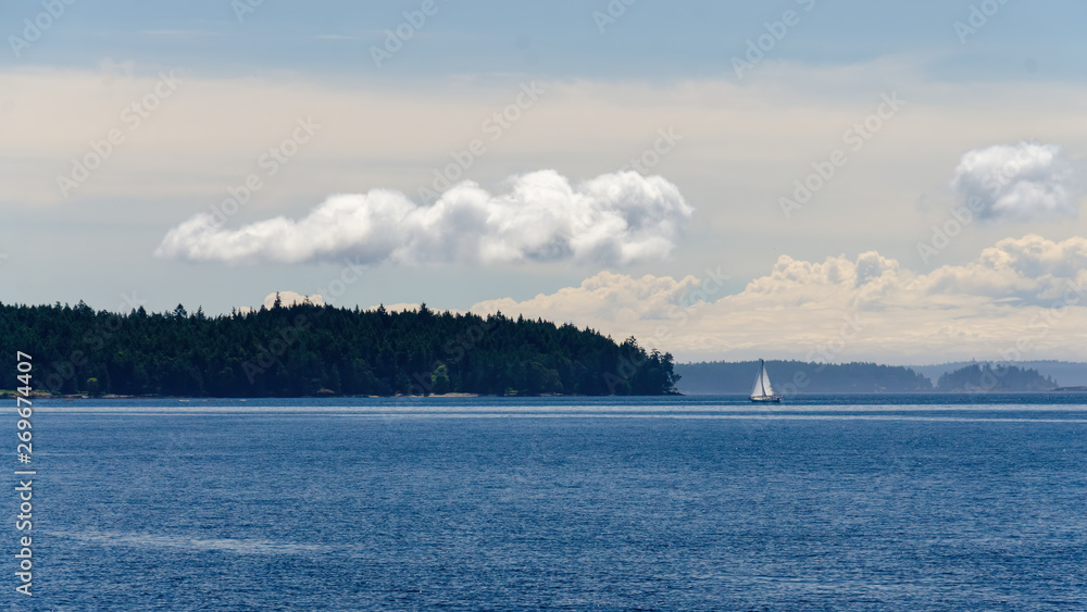 a white sailboat on a scenic view in vancouver island