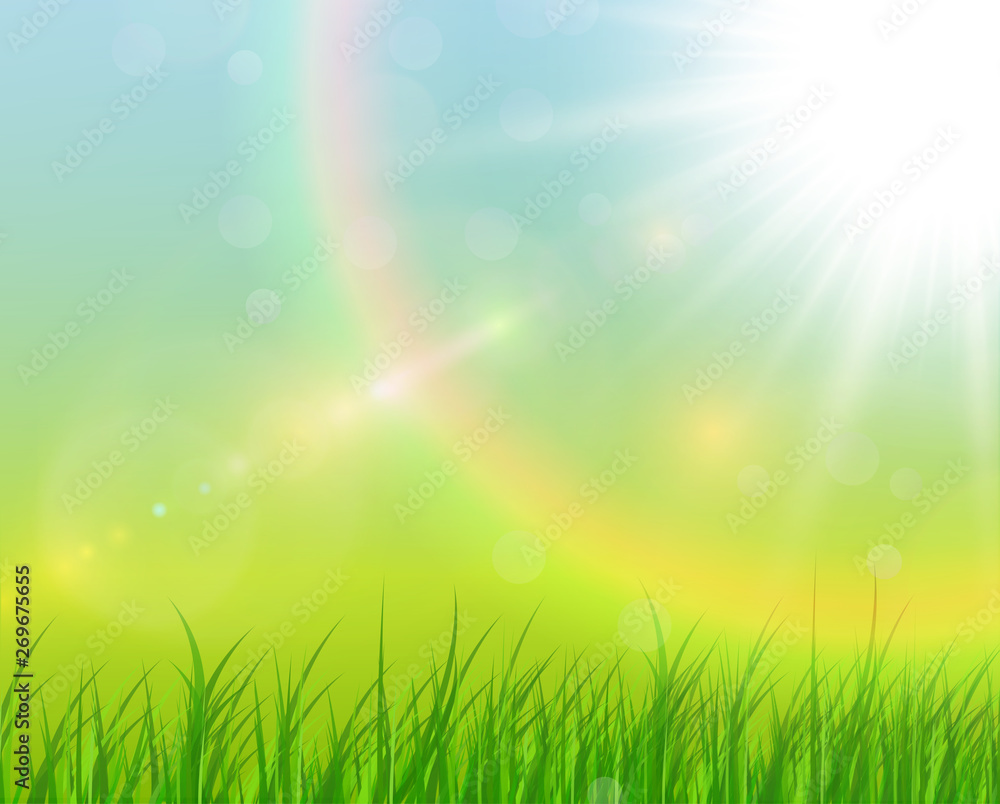Sunny natural background, summer sunny green