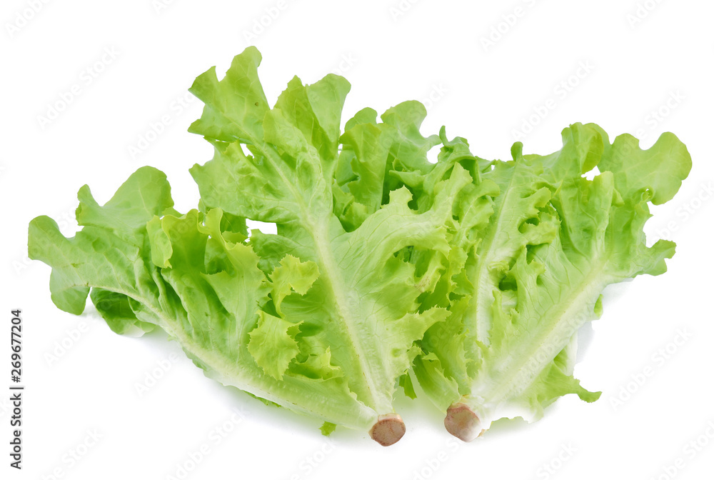 Lettuce isolated on white background Lettuce isolated on white background