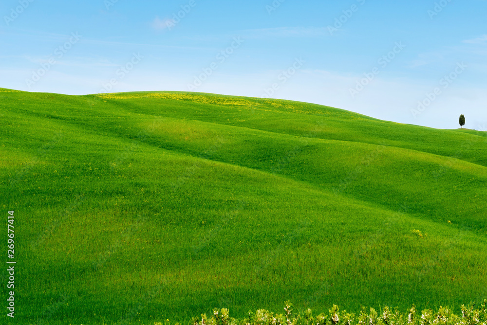 Obraz premium Beautiful spring minimalistic landscape with green hills in Tuscany