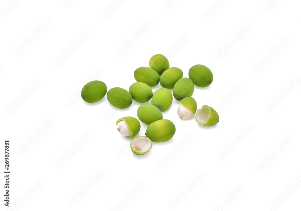 Lotus seeds green Isolated Lotus seeds green Isolated