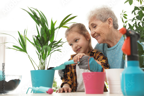Little girl and her grandmother taking care of plants indoors