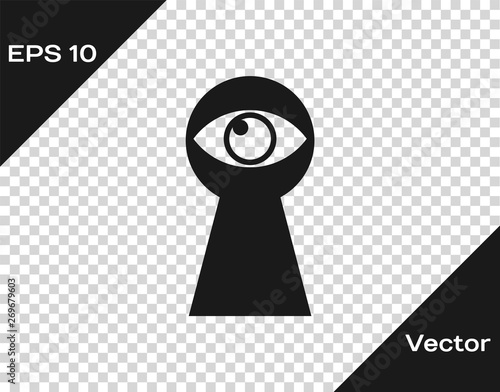 Grey Keyhole with eye icon isolated on transparent background. The eye looks into the keyhole. Keyhole eye hole. Vector Illustration