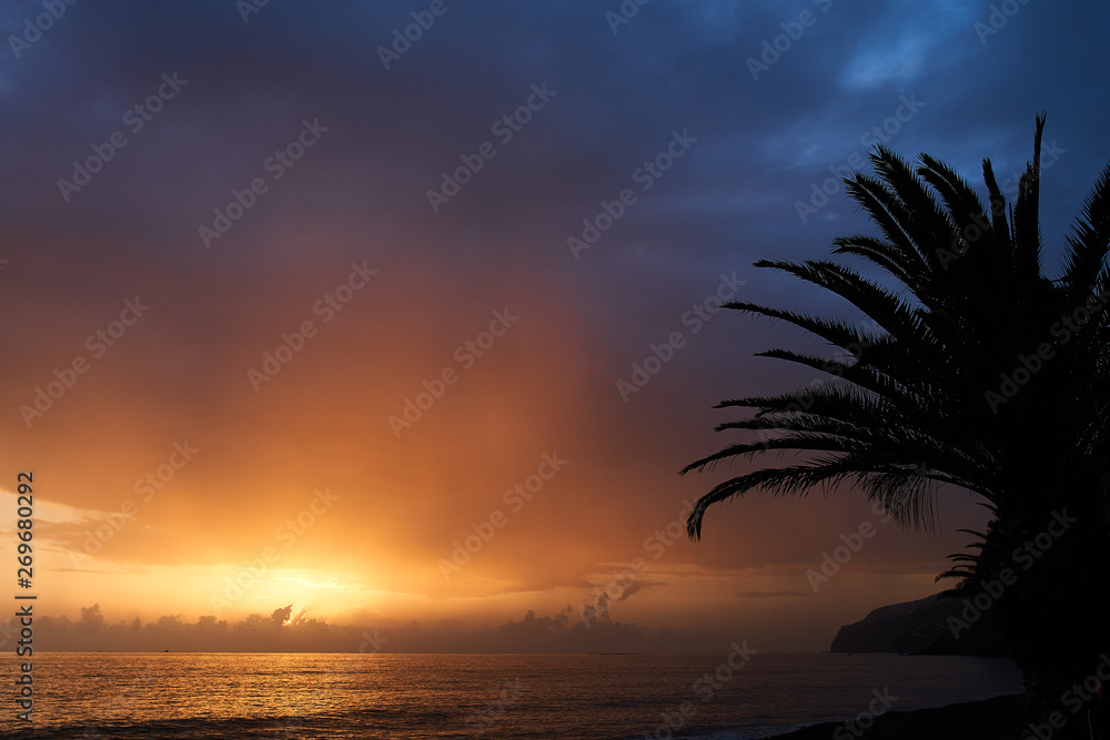 Sunset with palm tree silhouette and red blue sky near the ocean Sunset with palm tree silhouette and red blue sky near the ocean