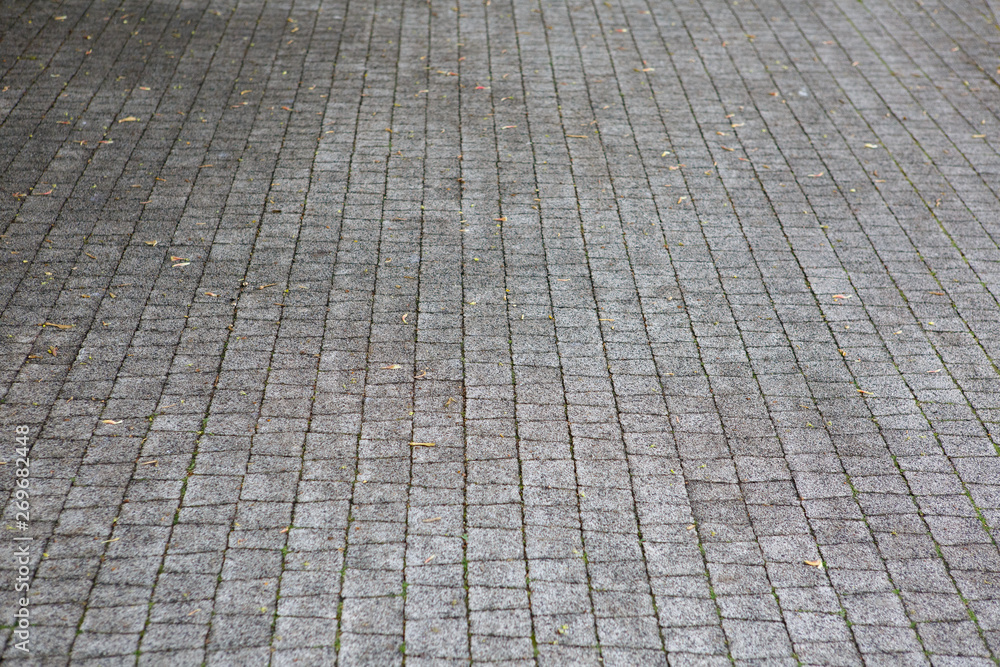 Fototapeta premium Material for sidewalk. Grey paving stone. Background.