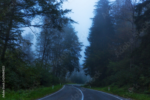 Deserted asphalt road in a foggy forest