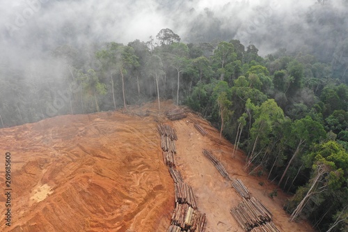 Logging. Aerial drone view of deforestation environmental problem. photo