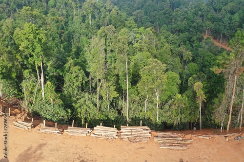 Logging. Aerial drone view of deforestation environmental problem.