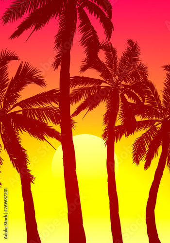 palm trees on a purple orange sunset sky