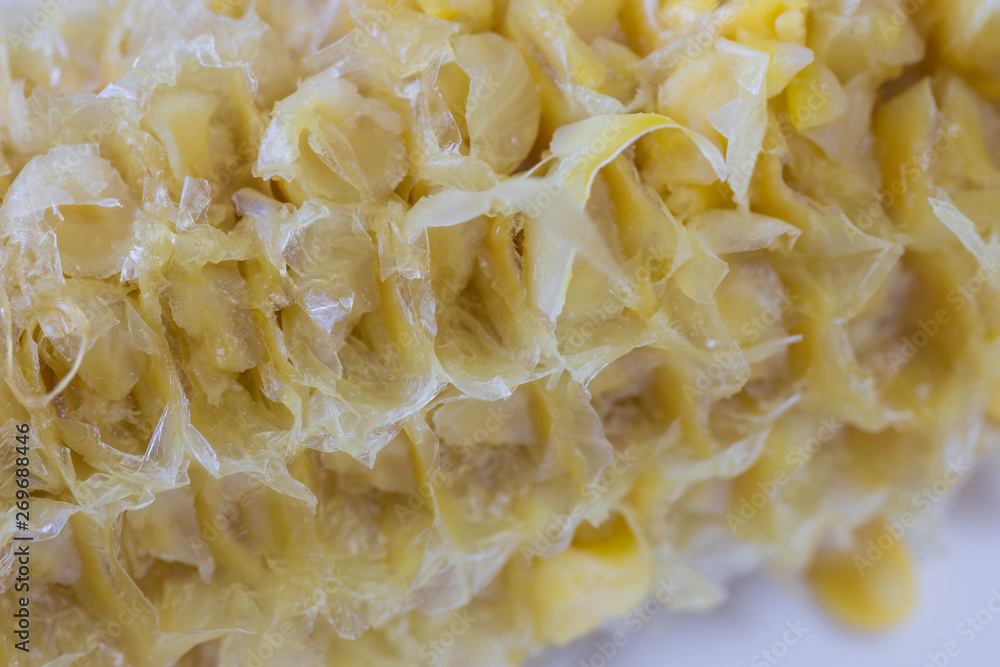 Bare corn cob of a boiled sweet yellow corn after eating in a white saucer plate. Close up shot. Bare corn cob of a boiled sweet yellow corn after eating in a white saucer plate. Close up shot.