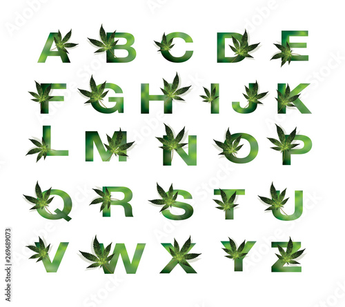 font design a b c  medical marijuana, cannabis green leaf logo. vector illustration. - Vector