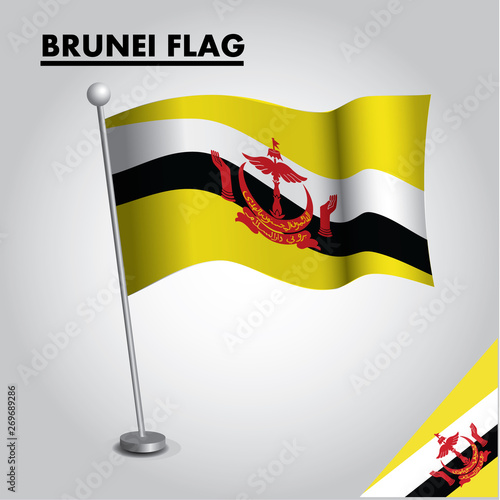 Brunei flag icon. National flag of Brunei on a pole