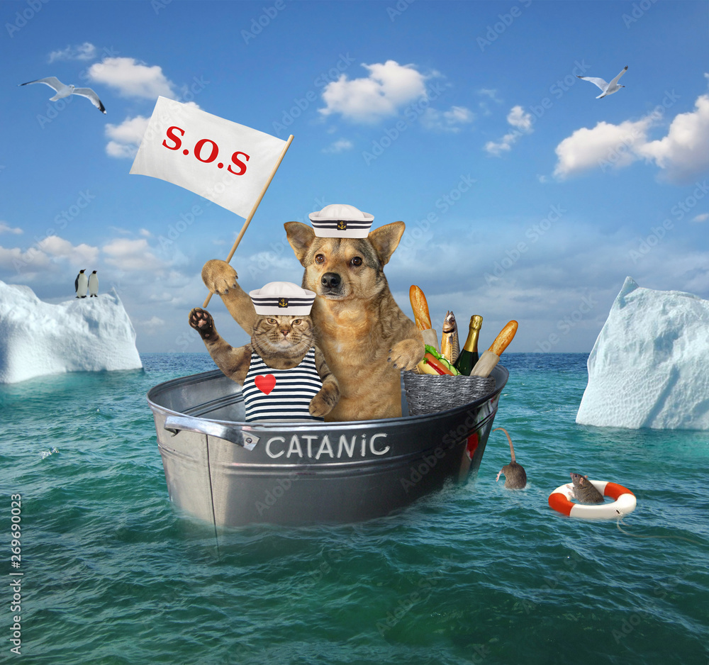 Φωτογραφία The two brave sailors cat and dog are drifting in the steel wash tub after the shipwreck among the icebergs in the sea